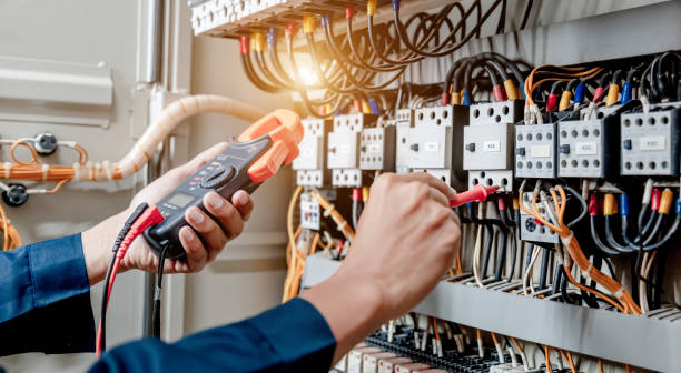 Best Electrician for Home Renovation  in Stockton, IL