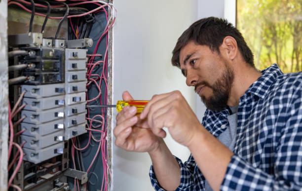 Best Industrial Electrical Services  in Stockton, IL